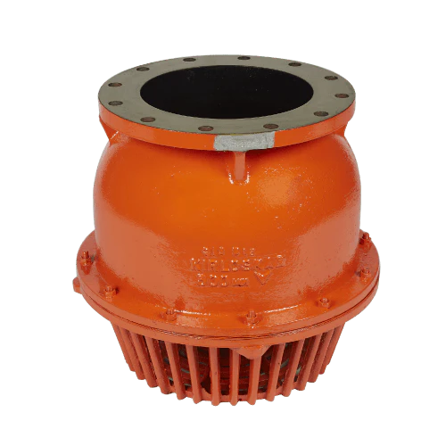 SITC of Cast Iron Flange Ended Foot Valve - Service Image