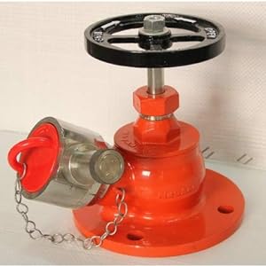 SITC of SS Single Headed ISI Marked Oblique Pattern Hydrant Landing Valves - Service Image