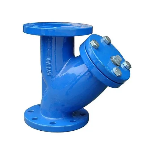 Rudra Make Y Strainer Valve - Product Image