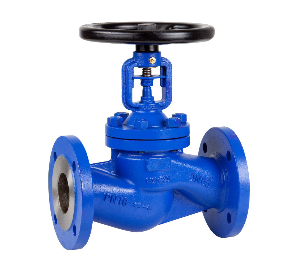 Globe Valve - Industrial valve - Product Image