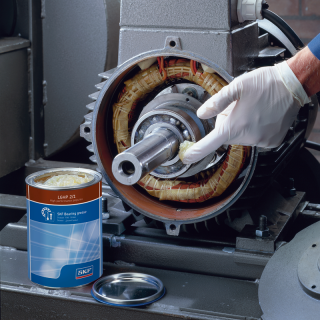 SKF Maintenance Products LGHP 2/18 Grease - Product Image