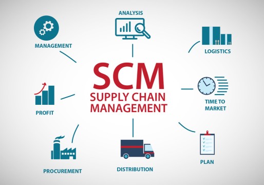 Sustainability Consultancy Services - Product Image