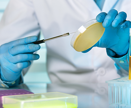 Microbial and Biological Testing - Laboratory Services - Product Image
