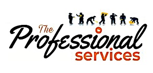 The Professional Services Logo