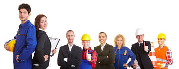 Labor Supply - The Professional Services - Service Image