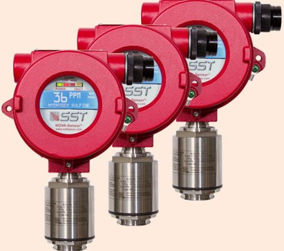 F&G Detection System (GD / FD) Analysis and Installation - Service Image