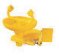 Eye Washer & Safety Shower  GI 4810 Product Image
