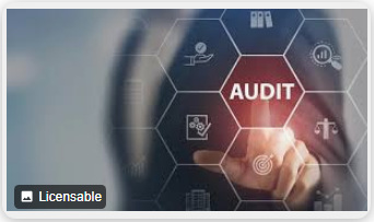 Audit - Product Image