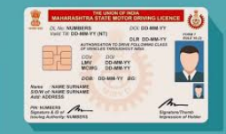 New Driving License - Product Image