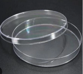 Petri Dish - Product Image