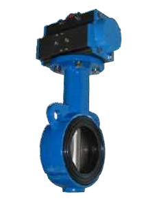 Butterfly Valve - 50MM to 600MM - Product Image