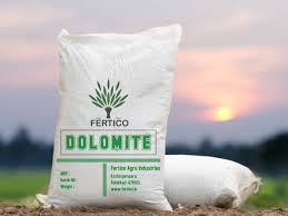 Dolomite Powder - Product Image