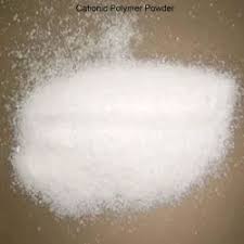 DWP Polyelectrolyte - Waste Water Chemicals(ETP & STP) - Product Image