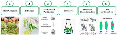 Industrial Services - Drug and Dyes plant design - Service Image