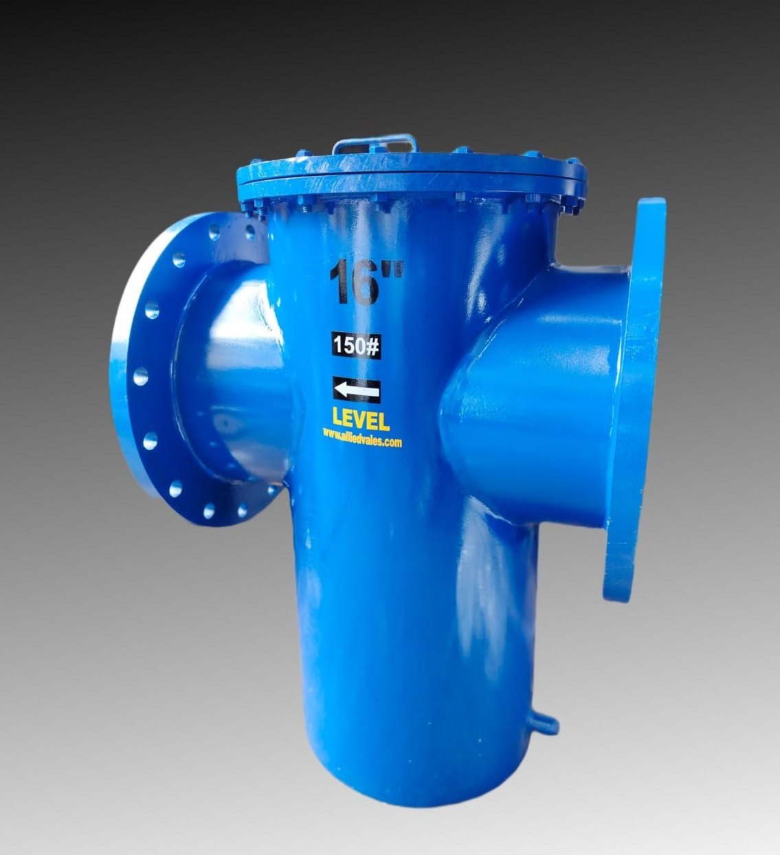 Basket Type Strainer - Industrial Application - Product Image