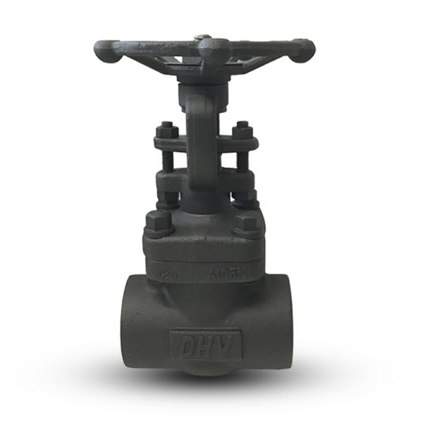 Gate Valve - Forged Steel - Industrial Application - Product Image
