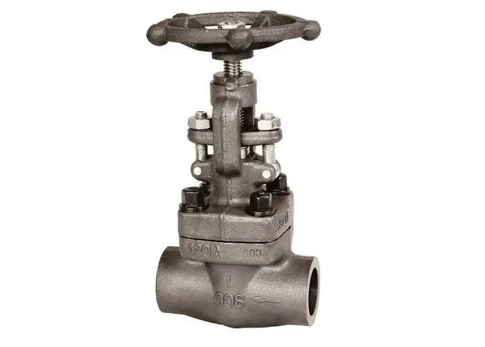 Globe Valve - Forged Steel - Industrial Application - Product Image 2